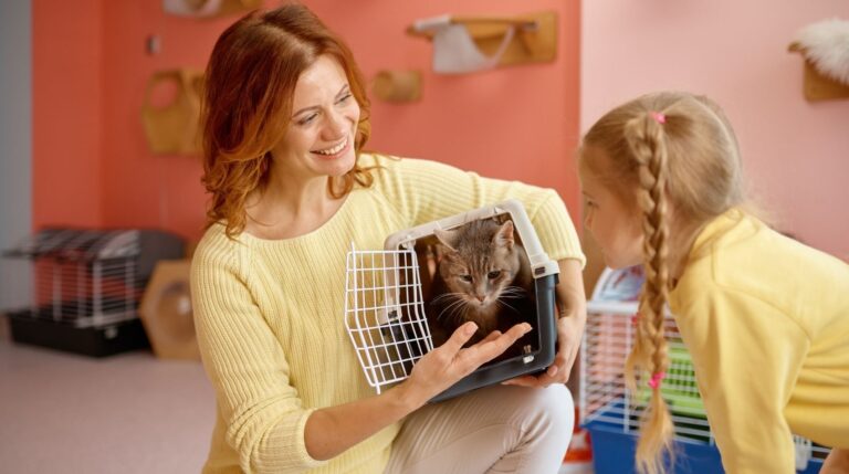 katten-adopteren